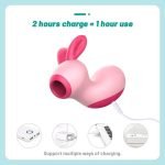 Rabbit Clit Sucker Vagina Sucking Vibrator For Adults