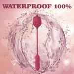 The Rose Toy Vibrator With Bullet