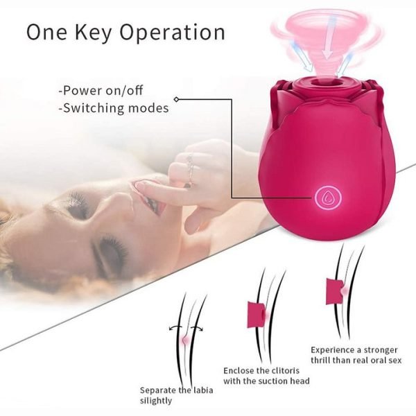 Royal Rose Toy Rose 1.0 Rose Clit Sucker
