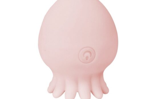 Adult toy product example for cleaning and storage guidance