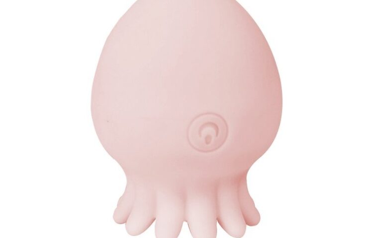 Adult toy product example for cleaning and storage guidance