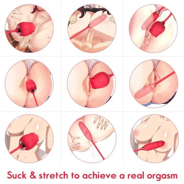 Rose Sex Toy Dual Sucking Vibrator For Women