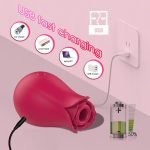 Rose Toy 10 Speeds Oral Sucking Vibrator
