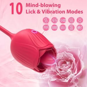 The-Rose-Toy-Vibrator-With-Bullet-6.jpg