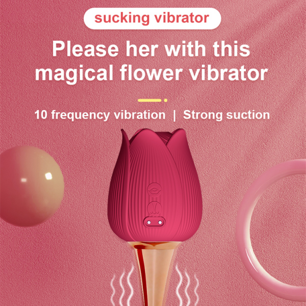 Usb Rechargeable Rose Toys For Women