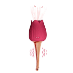 Usb Rechargeable Rose Toys For Women