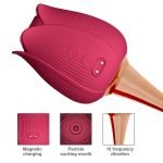 Usb Rechargeable Rose Toys For Women