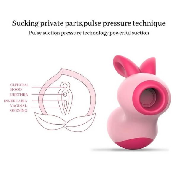 Rabbit Clit Sucker Vagina Sucking Vibrator For Adults