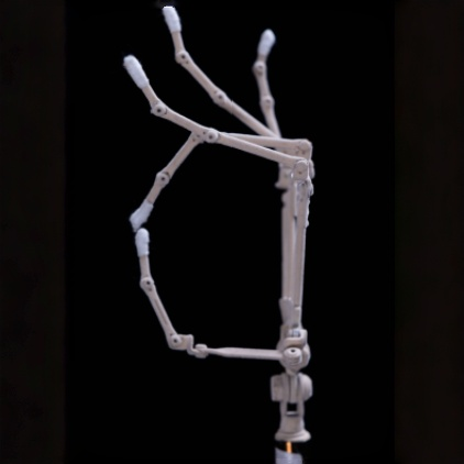 BoneFlex Hand Skeleton (Max Series Included - Free)