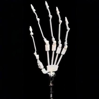 Articulaed Hand Skeleton